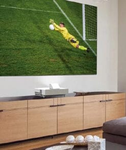 Màn chiếu tương phản cao 100 inch ALR Epson ELPSC35
